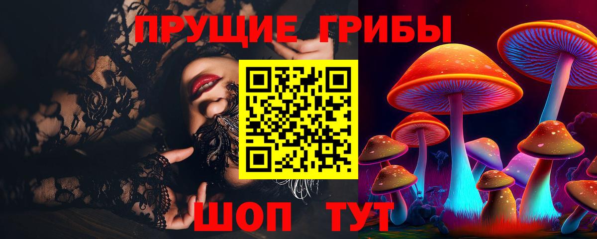 Галлюциногенные грибы прущие грибы  Вход с VPN  Сочи 