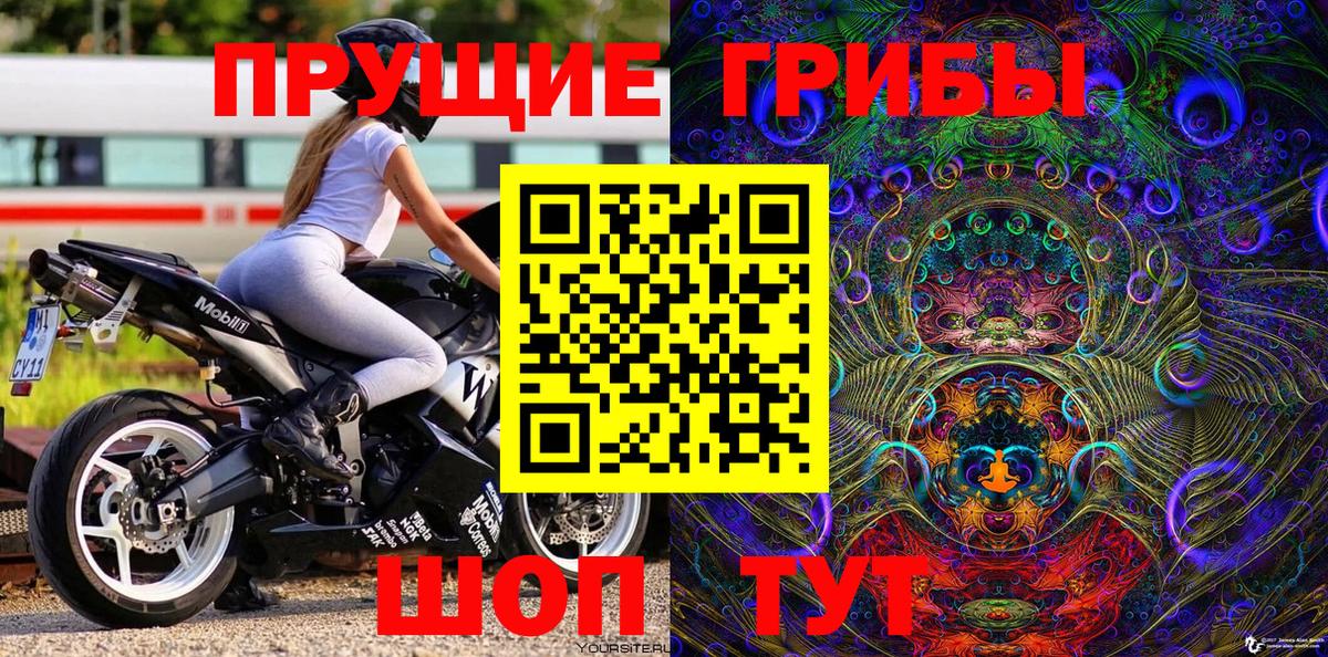 Псилоцибиновые грибы Psilocybe Сочи